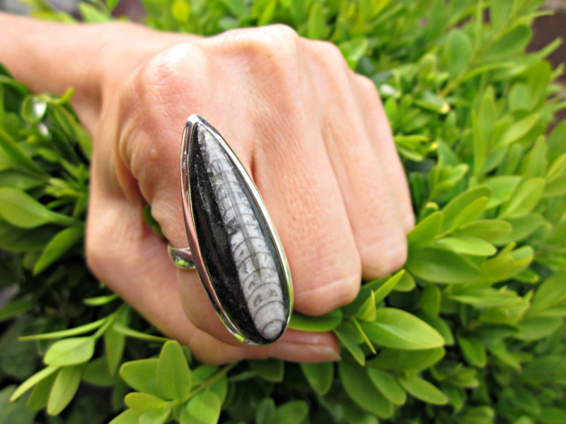 Fossilized Orthoceras Ring