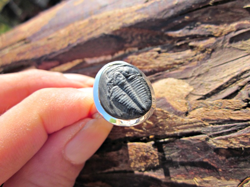 Fossilized Trilobite Ring